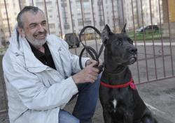 Дрессировка собак всех пород. Коррекция нежелательного поведения. Дрессировка собак всех пород. Коррекция нежелательного поведения.