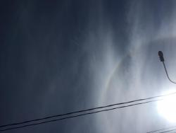 Расклады на картах Таро Wild Unknown Tarot