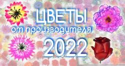 Искусственные цветы от производителя 55опторг.Скидки.Омск