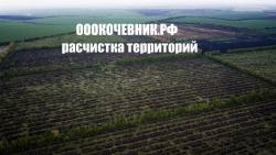 Мульчер. Аренда и Услуги по расчистк