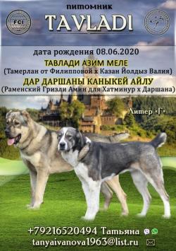 Резервирование с дальнейшей продажей щенков САО(Алабай)