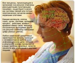 Восстановительная медицина - диагностика,лечение,реабилитация.