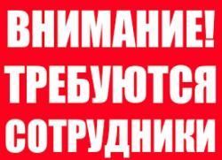 В интернет-проект,требуется информационный менеджер
