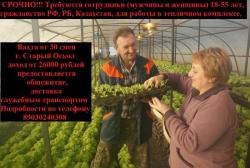 Приглашаем на работу вахтовым методом