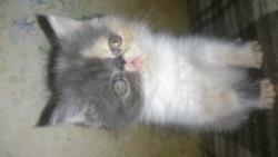 клубные rhfcfdbws клубные rhfcfdbws