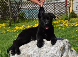 Девочка с эффектной внешностью