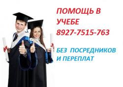 Профессиональная помощь студентам и аспирантам в