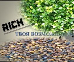 Бизнес-проект в интернете. Бизнес-проект в интернете.