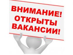 Менеджер по продажам в интернет-магазин.