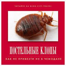 Дезинсекция, дератизация