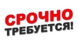 Удаленная работа без опыта Удаленная работа без опыта
