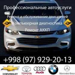 Профессиональные автоуслуги (Ремонт двигателей, АКПП, Компьтерная диагностика)