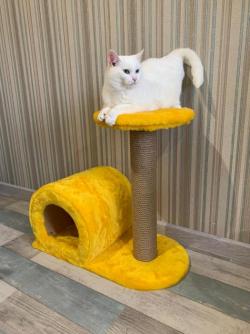 Когтеточки для кошек