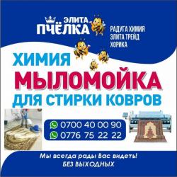 Мыломойка для стирки ковров. Химия