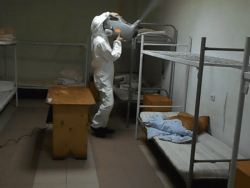 Дизенфекция от клопов и тараканов Дизенфекция от клопов и тараканов