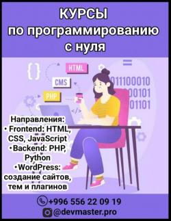Курсы по программированию с нуля