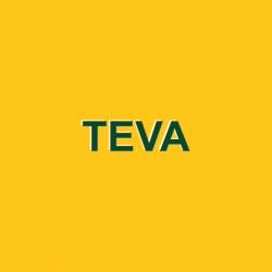 Архитектурно-проектная компания ”TEVA”