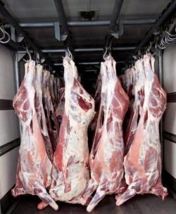 Говядина н/к, б/к, Мясо цыплят бройлера, куриное филе