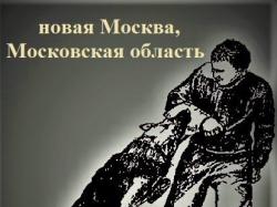 Дрессировка собак на дому!