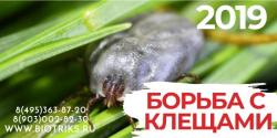 Акарицидная обработка от клещей в Дмитрове.Избавим от короеда и шашеля