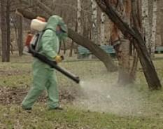 Уничтожение клопов клещей Уничтожение клопов клещей