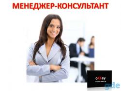 Менеджер- консультант в онлайн-магазин Менеджер- консультант в онлайн-магазин