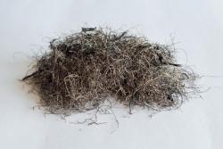 Металлический корд