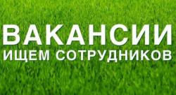Требуется администратор на удаленную работу.