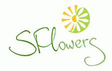 Доставка цветов и подарков от SFlowers