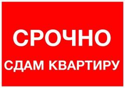 Срочно сдам комнату или квартиру