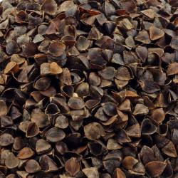 Продам лузгу шелуху гречихи