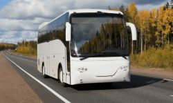 Автобусные перевозки из Белой Холуницы