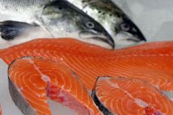 Морская и речная рыба Морская и речная рыба