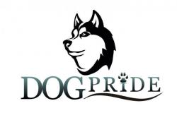 Кинологический тренинговый центр DogPride Кинологический тренинговый центр DogPride