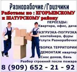 Услуги Грузчиков, Разнорабочих. Погрузка - Разгрузка. Уборка участка, помещений от мусора, хлама