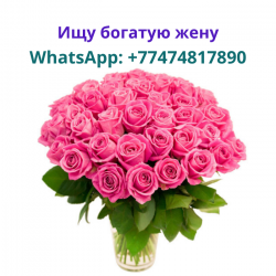 Мужчина-мусульманин ищет богатую жену чтобы создать семью Мужчина-мусульманин ищет богатую жену чтобы создать семью