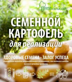 Семенной картофель для реализации