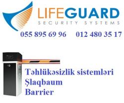 ?Slaqbaumlarin satisi  ?  055 895 69 96 ?