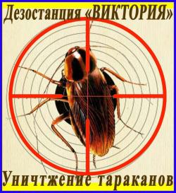 Как избавиться от тараканов в Алматы услуги - Уничтожение тараканов Борьба с тараканами
