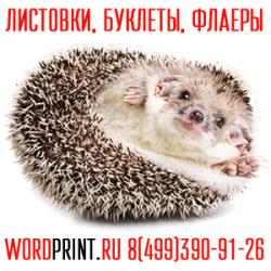 Визитки печать листовки дешево в Жулебино Типография в Люберцах