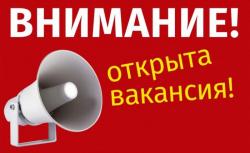 менеджер для удаленной работы в интернет-магазине