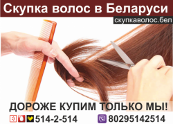 Продать волосы в Гомеле. 0