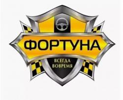 Водитель такси со своим автомобилем