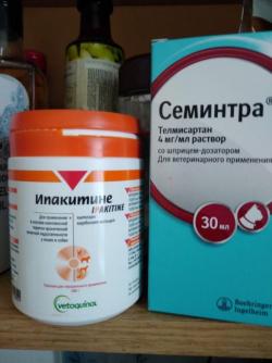 Предлагаю