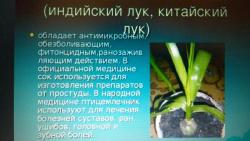 лекарственные растения лекарственные растения