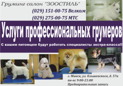 Стрижка собак и котов (профессиональный груминг). Минск.