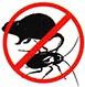 Уничтожение тараканов, блох, ос, клопов и комаров, Novokujbyshevsk