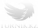 Интернет-магазин «TURNIK.KZ»