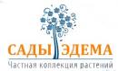 Интернет магазин «Сады Эдема», Нижнекамск