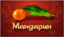 Мандарин, Уфа